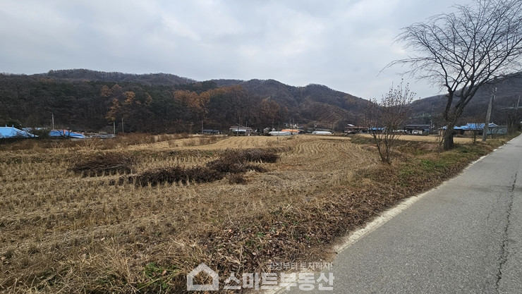 경기 여주시 산북면 송현리 토지 - 1,762평/건물 - 471평 매매 매물번호 10991 사진 2