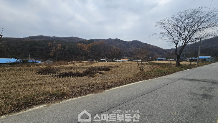경기 여주시 산북면 송현리 토지 - 1,762평/건물 - 471평 매매 매물번호 10991 사진 3
