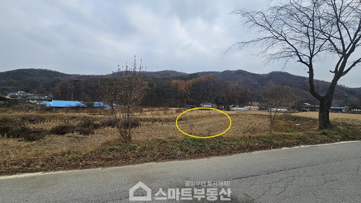 경기 여주시 산북면 송현리 토지 - 1,762평/건물 - 471평 매매 매물번호 10991 사진 5