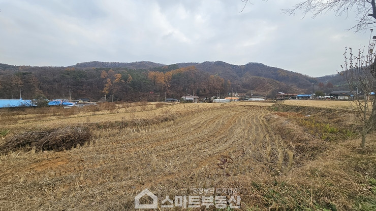 경기 여주시 산북면 송현리 토지 - 1,762평/건물 - 471평 매매 매물번호 10991 사진 6