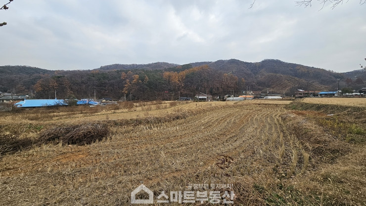 경기 여주시 산북면 송현리 토지 - 1,762평/건물 - 471평 매매 매물번호 10991 사진 7