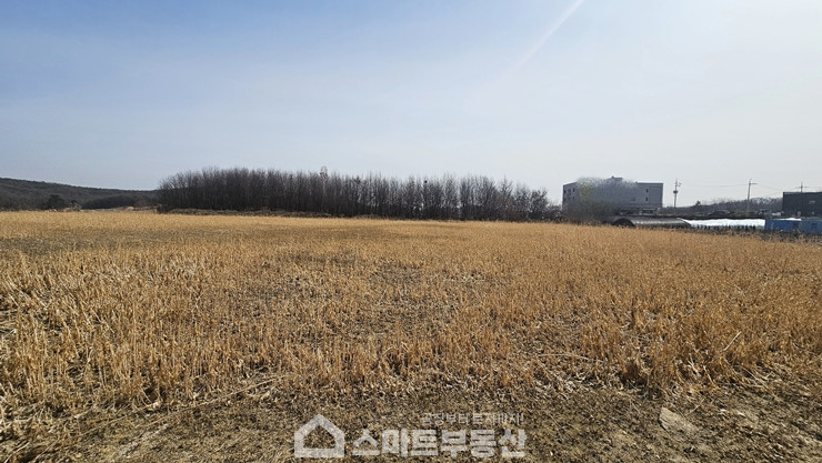 경기 여주시 연라동 토지 - 1,583평 매매 매물번호 11206 사진 3