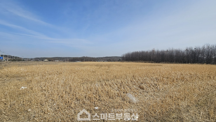 경기 여주시 연라동 토지 - 1,583평 매매 매물번호 11206 사진 10