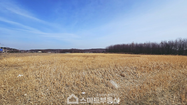 경기 여주시 연라동 토지 - 500평 매매 매물번호 11205 사진 2