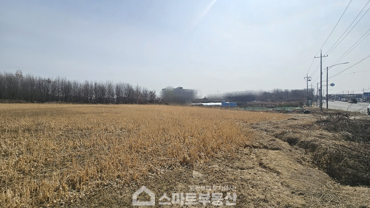 경기 여주시 연라동 토지 - 500평 매매 매물번호 11205 사진 5