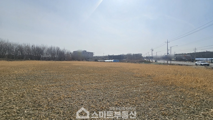 경기 여주시 연라동 토지 - 500평 매매 매물번호 11205 사진 9