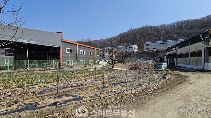 경기 광주시 곤지암읍 만선리 공장 - 299평 매매 매물번호 11235 사진 7